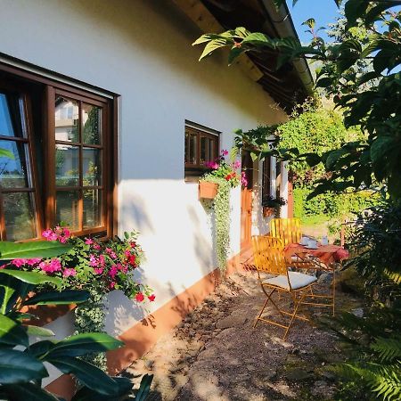 Ferienhaus Zirbe Rickenbach  Exteriér fotografie