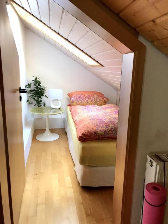 Ferienhaus Zirbe Rickenbach  Exteriér fotografie